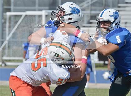 Thumbnail 3 in Seminole @ Dixie Hollins photogallery.