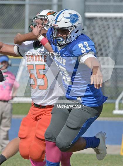 Thumbnail 2 in Seminole @ Dixie Hollins photogallery.