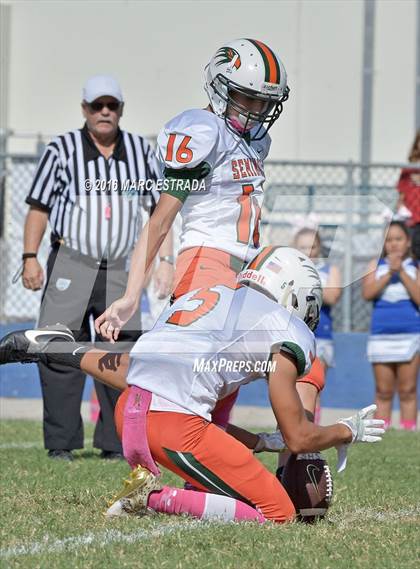 Thumbnail 1 in Seminole @ Dixie Hollins photogallery.