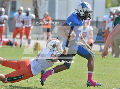 Thumbnail 2 in Seminole @ Dixie Hollins photogallery.