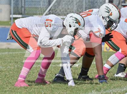 Thumbnail 3 in Seminole @ Dixie Hollins photogallery.