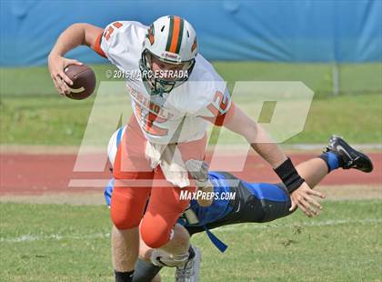 Thumbnail 1 in Seminole @ Dixie Hollins photogallery.