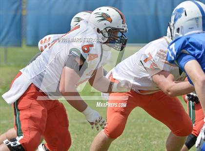 Thumbnail 2 in Seminole @ Dixie Hollins photogallery.