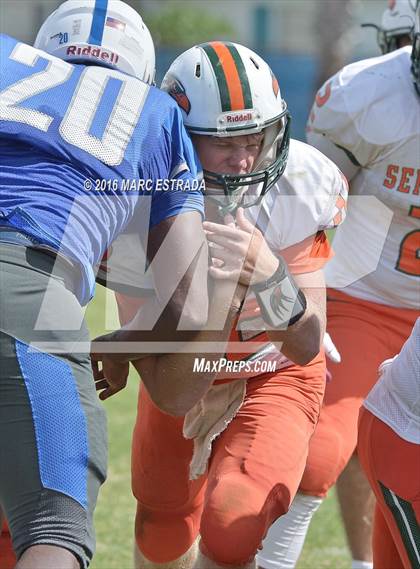 Thumbnail 3 in Seminole @ Dixie Hollins photogallery.