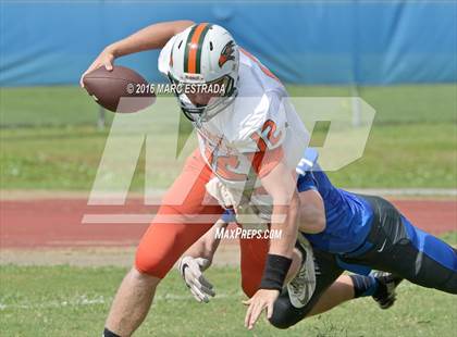Thumbnail 3 in Seminole @ Dixie Hollins photogallery.