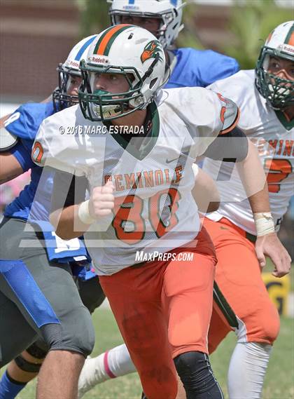 Thumbnail 3 in Seminole @ Dixie Hollins photogallery.