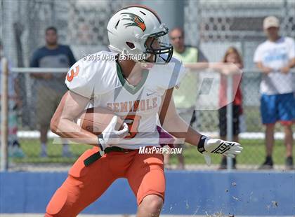 Thumbnail 3 in Seminole @ Dixie Hollins photogallery.