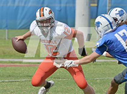 Thumbnail 1 in Seminole @ Dixie Hollins photogallery.