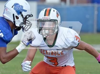 Thumbnail 1 in Seminole @ Dixie Hollins photogallery.