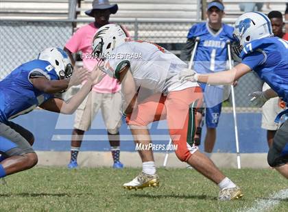 Thumbnail 1 in Seminole @ Dixie Hollins photogallery.