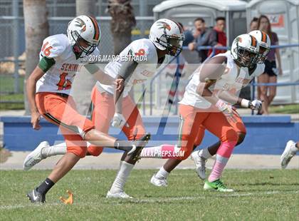 Thumbnail 2 in Seminole @ Dixie Hollins photogallery.