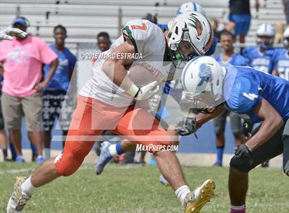 Thumbnail 1 in Seminole @ Dixie Hollins photogallery.