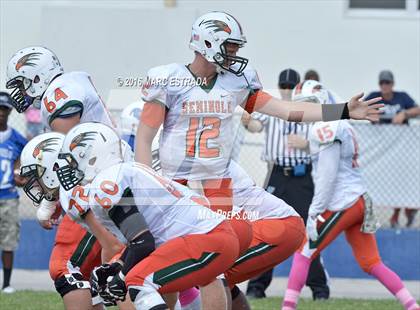 Thumbnail 3 in Seminole @ Dixie Hollins photogallery.