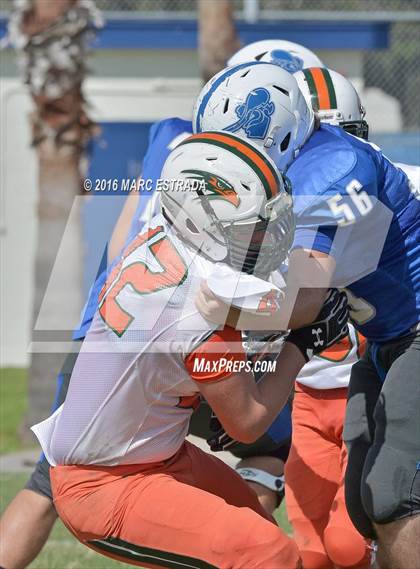 Thumbnail 1 in Seminole @ Dixie Hollins photogallery.