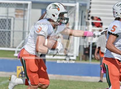 Thumbnail 3 in Seminole @ Dixie Hollins photogallery.