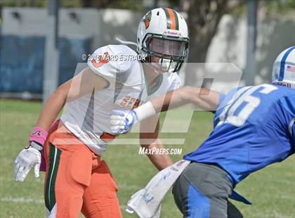 Thumbnail 3 in Seminole @ Dixie Hollins photogallery.