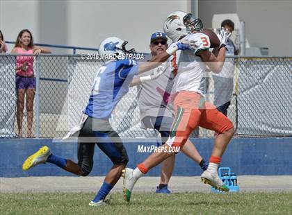 Thumbnail 3 in Seminole @ Dixie Hollins photogallery.