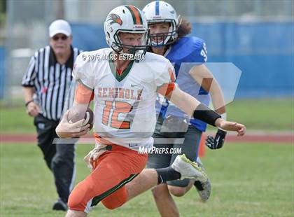Thumbnail 1 in Seminole @ Dixie Hollins photogallery.