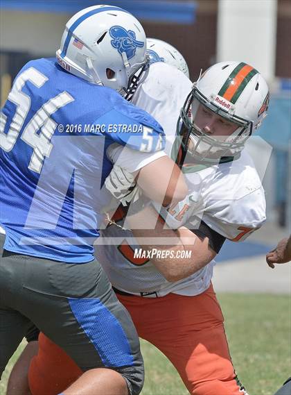 Thumbnail 2 in Seminole @ Dixie Hollins photogallery.