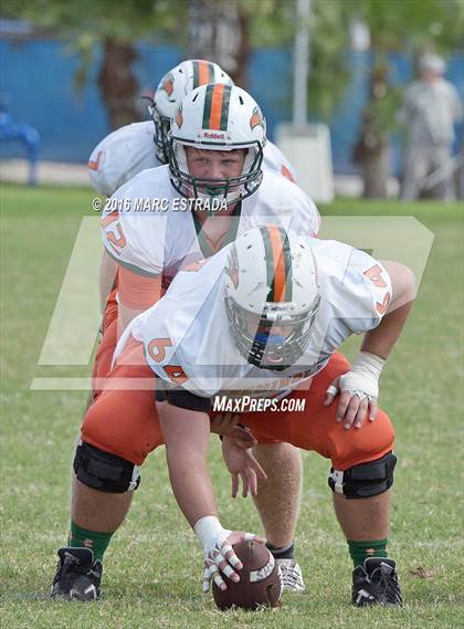 Thumbnail 3 in Seminole @ Dixie Hollins photogallery.