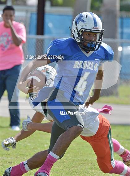 Thumbnail 3 in Seminole @ Dixie Hollins photogallery.
