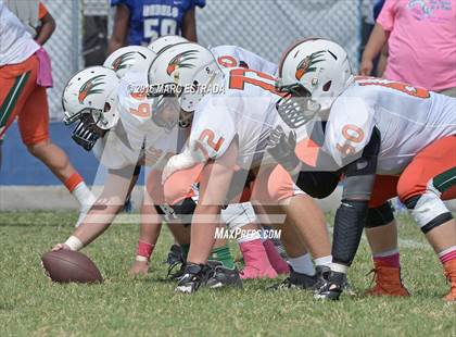 Thumbnail 3 in Seminole @ Dixie Hollins photogallery.