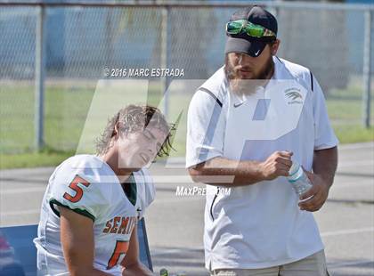 Thumbnail 3 in Seminole @ Dixie Hollins photogallery.