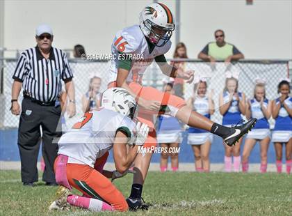 Thumbnail 3 in Seminole @ Dixie Hollins photogallery.