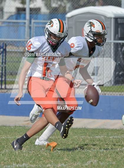 Thumbnail 2 in Seminole @ Dixie Hollins photogallery.