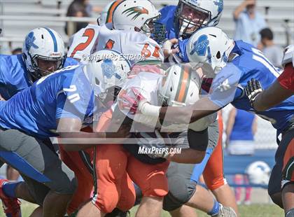 Thumbnail 1 in Seminole @ Dixie Hollins photogallery.