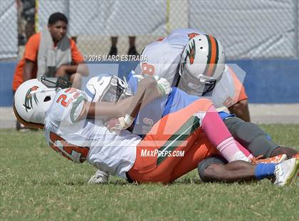 Thumbnail 2 in Seminole @ Dixie Hollins photogallery.