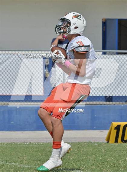 Thumbnail 2 in Seminole @ Dixie Hollins photogallery.