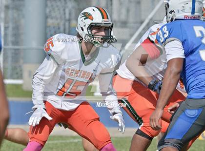 Thumbnail 1 in Seminole @ Dixie Hollins photogallery.