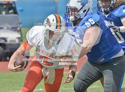 Thumbnail 2 in Seminole @ Dixie Hollins photogallery.