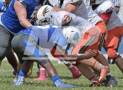 Thumbnail 3 in Seminole @ Dixie Hollins photogallery.