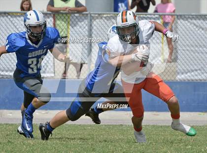 Thumbnail 1 in Seminole @ Dixie Hollins photogallery.