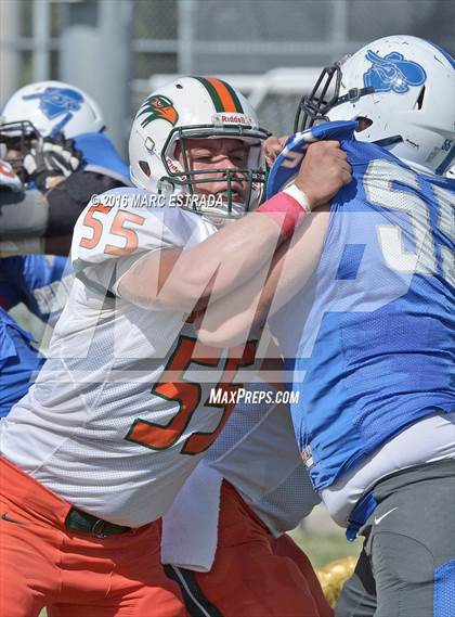Thumbnail 2 in Seminole @ Dixie Hollins photogallery.