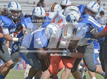 Thumbnail 2 in Seminole @ Dixie Hollins photogallery.