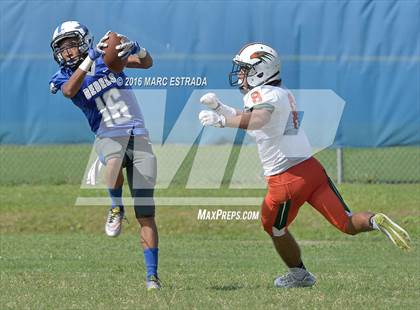 Thumbnail 1 in Seminole @ Dixie Hollins photogallery.