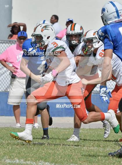 Thumbnail 3 in Seminole @ Dixie Hollins photogallery.