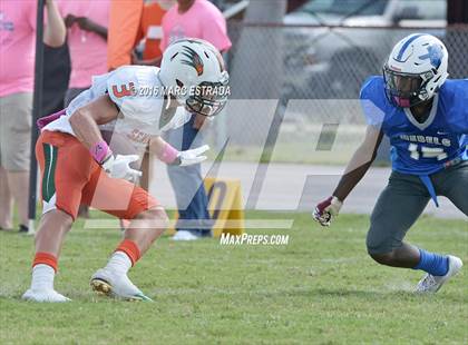 Thumbnail 3 in Seminole @ Dixie Hollins photogallery.