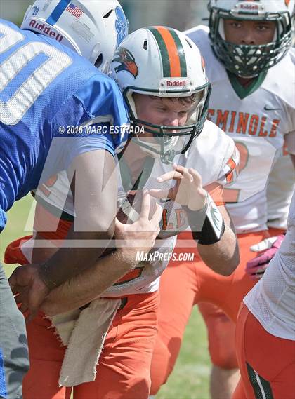 Thumbnail 1 in Seminole @ Dixie Hollins photogallery.
