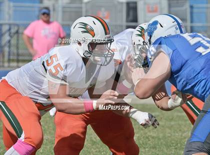 Thumbnail 3 in Seminole @ Dixie Hollins photogallery.