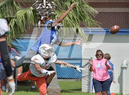 Thumbnail 1 in Seminole @ Dixie Hollins photogallery.