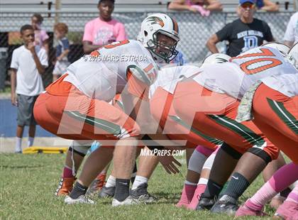 Thumbnail 1 in Seminole @ Dixie Hollins photogallery.