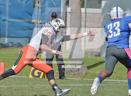 Thumbnail 2 in Seminole @ Dixie Hollins photogallery.