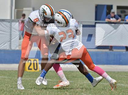 Thumbnail 1 in Seminole @ Dixie Hollins photogallery.