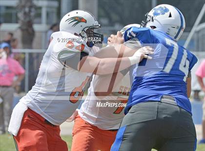 Thumbnail 3 in Seminole @ Dixie Hollins photogallery.