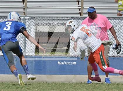 Thumbnail 1 in Seminole @ Dixie Hollins photogallery.