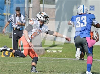 Thumbnail 3 in Seminole @ Dixie Hollins photogallery.